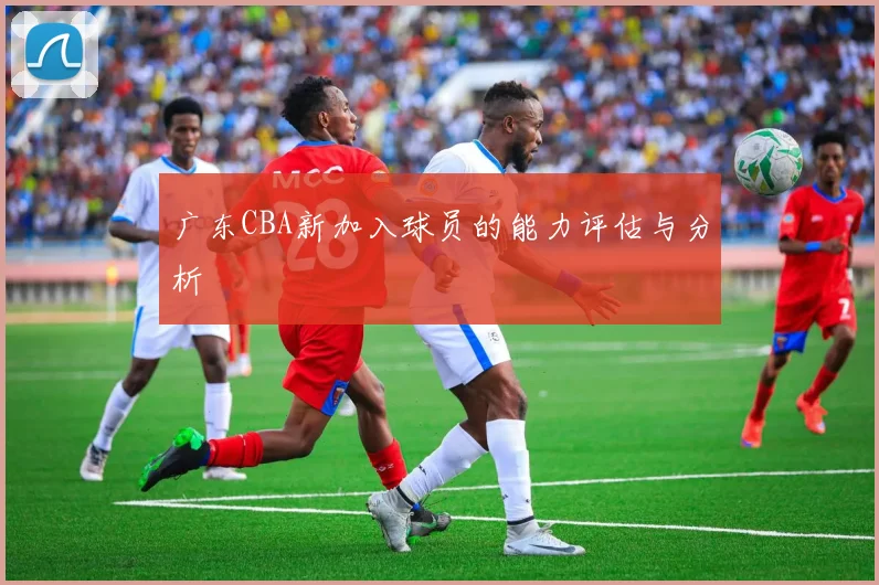 广东CBA新加入球员的能力评估与分析
