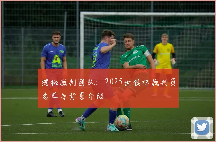 揭秘裁判团队：2025世俱杯裁判员名单与背景介绍