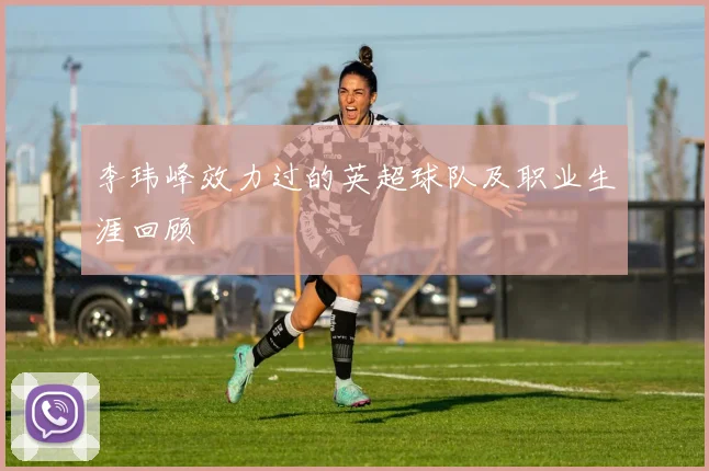 李玮峰效力过的英超球队及职业生涯回顾