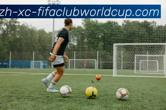 辅助工具 辅助工具